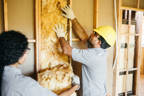 Insulation Inspection Services in Goodview, MN